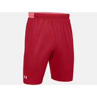 men's ua locker 9'' shorts
