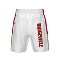 sportwide basketball shorts 7